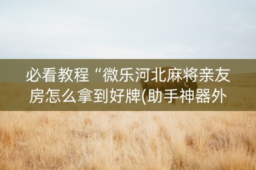 必看教程“微乐河北麻将亲友房怎么拿到好牌(助手神器外辅工具)