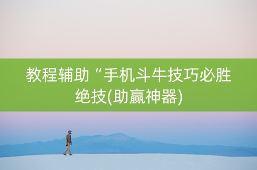 教程辅助“手机斗牛技巧必胜绝技(助赢神器)