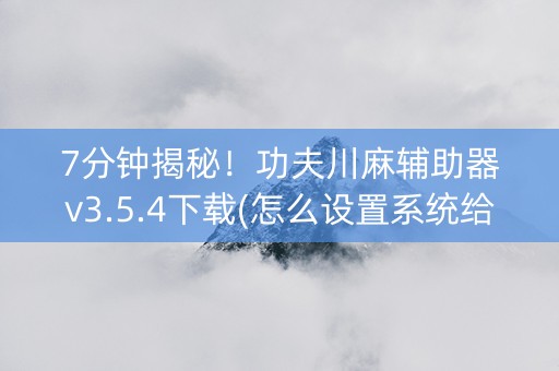 7分钟揭秘！功夫川麻辅助器v3.5.4下载(怎么设置系统给你好牌)