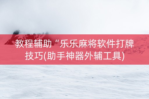 教程辅助“乐乐麻将软件打牌技巧(助手神器外辅工具)