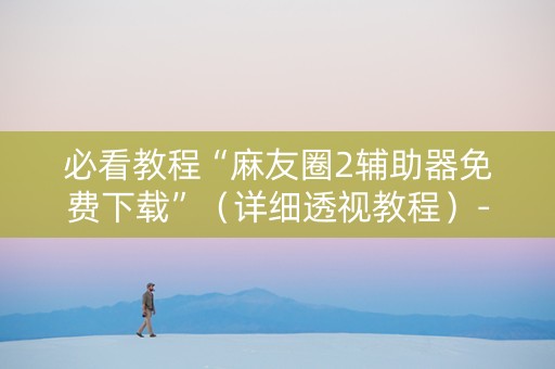必看教程“麻友圈2辅助器免费下载”（详细透视教程）-哔哩哔哩