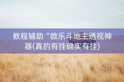 教程辅助“微乐斗地主透视神器(真的有挂确实有挂)