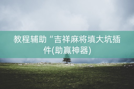 教程辅助“吉祥麻将填大坑插件(助赢神器)
