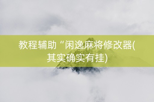 教程辅助“闲逸麻将修改器(其实确实有挂)