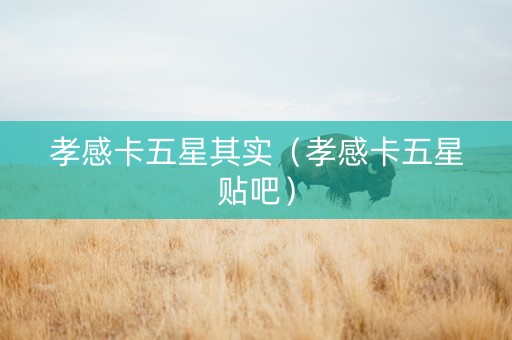 孝感卡五星其实（孝感卡五星贴吧）