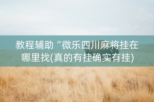 教程辅助“微乐四川麻将挂在哪里找(真的有挂确实有挂)