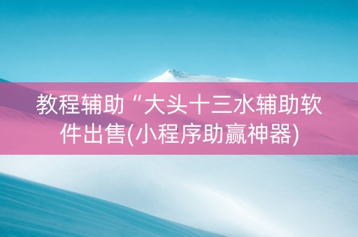 教程辅助“大头十三水辅助软件出售(小程序助赢神器)