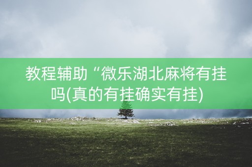 教程辅助“微乐湖北麻将有挂吗(真的有挂确实有挂)