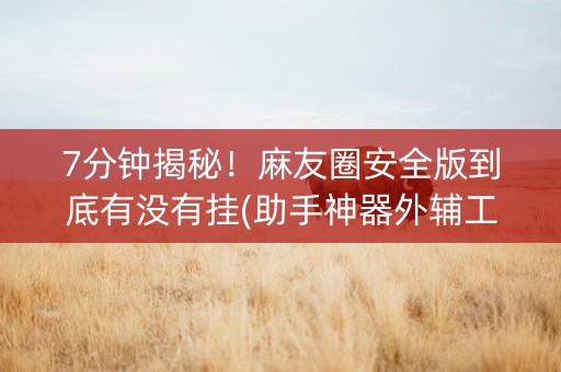 7分钟揭秘！麻友圈安全版到底有没有挂(助手神器外辅工具)