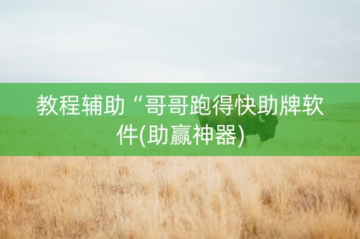 教程辅助“哥哥跑得快助牌软件(助赢神器)