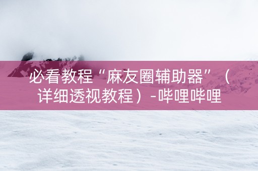 必看教程“麻友圈辅助器”（详细透视教程）-哔哩哔哩