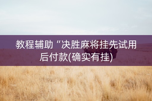 教程辅助“决胜麻将挂先试用后付款(确实有挂)