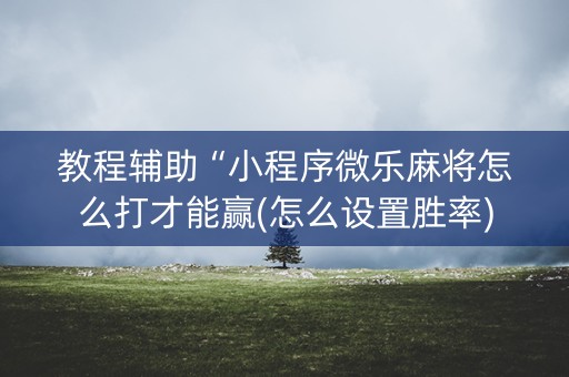 教程辅助“小程序微乐麻将怎么打才能赢(怎么设置胜率)