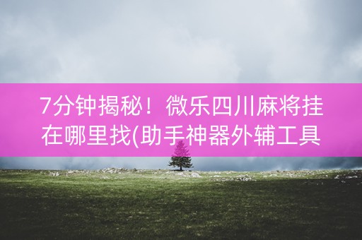 7分钟揭秘！微乐四川麻将挂在哪里找(助手神器外辅工具)