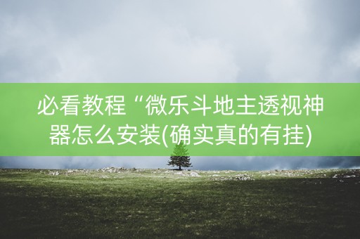 必看教程“微乐斗地主透视神器怎么安装(确实真的有挂)