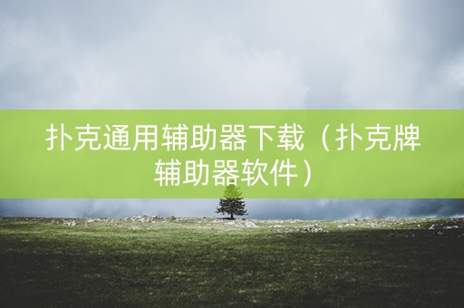 扑克通用辅助器下载（扑克牌辅助器软件）
