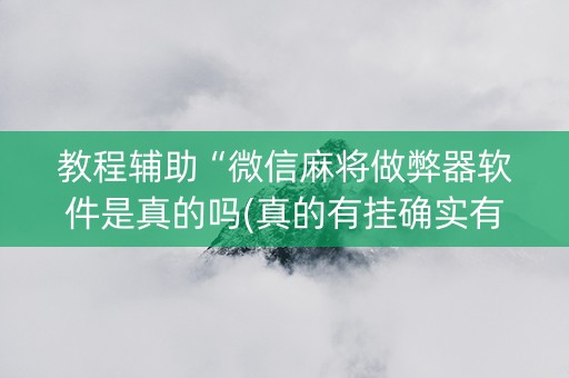教程辅助“微信麻将做弊器软件是真的吗(真的有挂确实有挂)