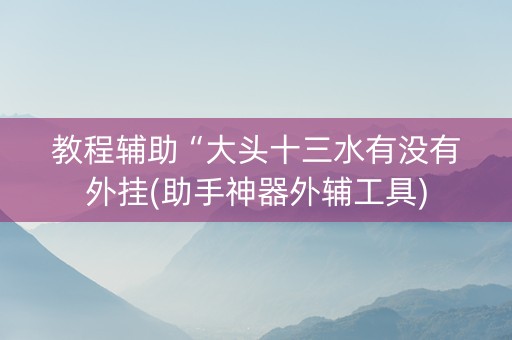 教程辅助“大头十三水有没有外挂(助手神器外辅工具)