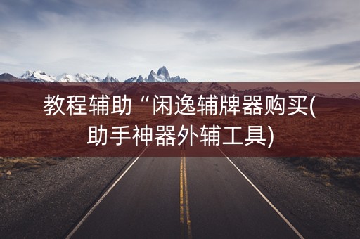 教程辅助“闲逸辅牌器购买(助手神器外辅工具)