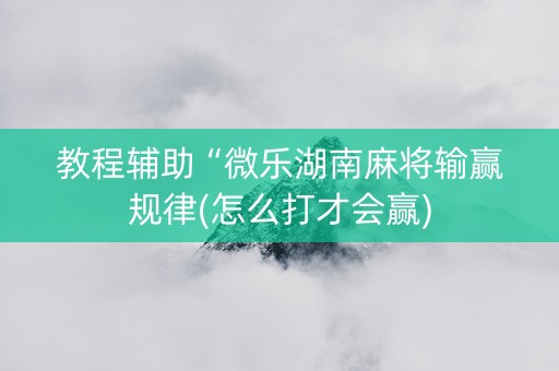 教程辅助“微乐湖南麻将输赢规律(怎么打才会赢)