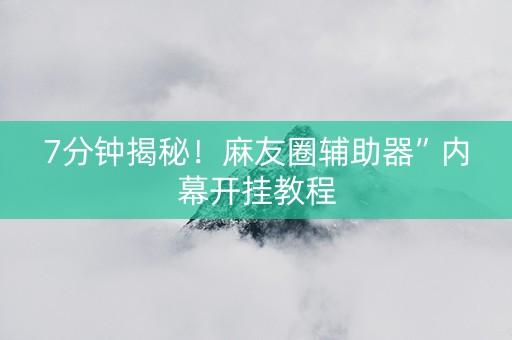 7分钟揭秘！麻友圈辅助器”内幕开挂教程