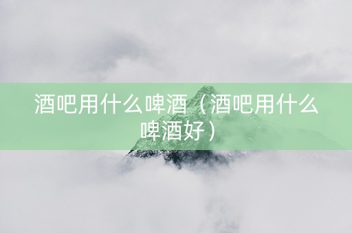 酒吧用什么啤酒（酒吧用什么啤酒好）