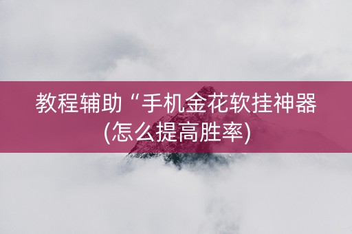 教程辅助“手机金花软挂神器(怎么提高胜率)
