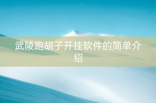 武陵跑胡子开挂软件的简单介绍