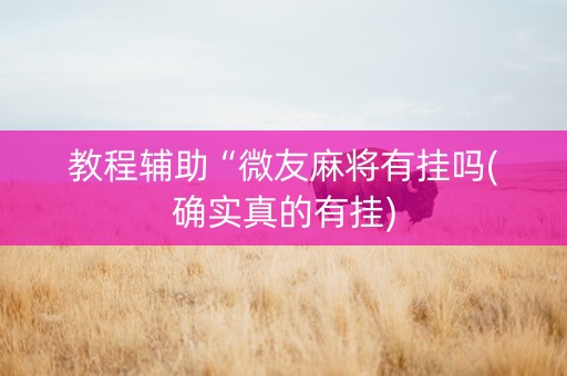 教程辅助“微友麻将有挂吗(确实真的有挂)