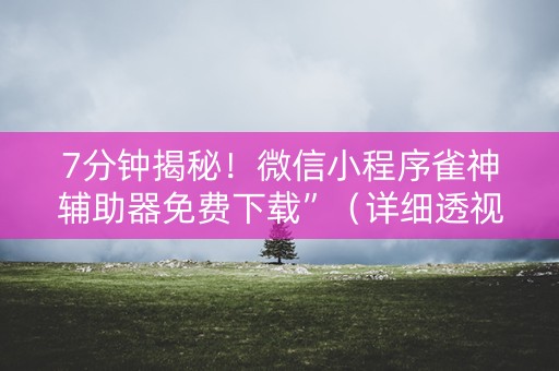 7分钟揭秘！微信小程序雀神辅助器免费下载”（详细透视教程）-哔哩哔哩