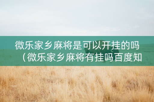 微乐家乡麻将是可以开挂的吗（微乐家乡麻将有挂吗百度知道）