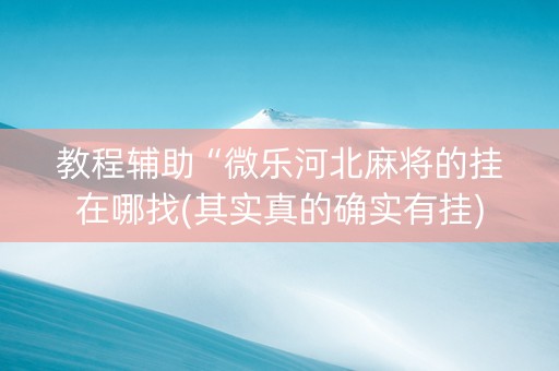 教程辅助“微乐河北麻将的挂在哪找(其实真的确实有挂)