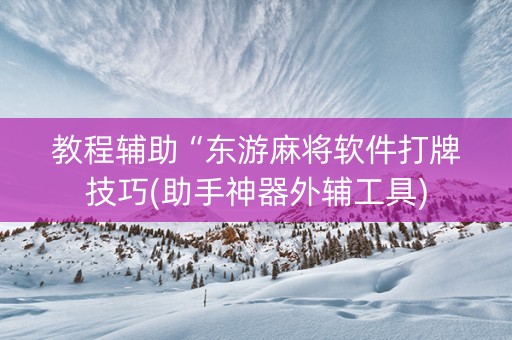 教程辅助“东游麻将软件打牌技巧(助手神器外辅工具)