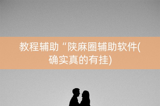 教程辅助“陕麻圈辅助软件(确实真的有挂)