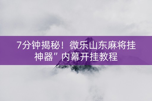 7分钟揭秘！微乐山东麻将挂神器”内幕开挂教程