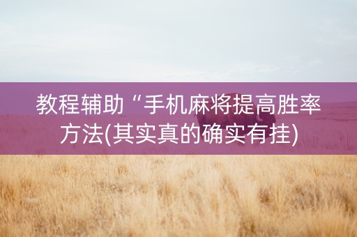 教程辅助“手机麻将提高胜率方法(其实真的确实有挂)