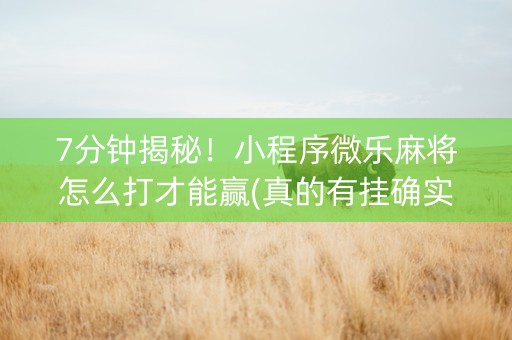 7分钟揭秘！小程序微乐麻将怎么打才能赢(真的有挂确实有挂)