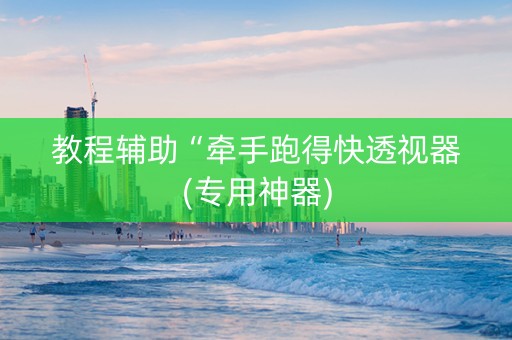 教程辅助“牵手跑得快透视器(专用神器)