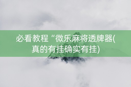 必看教程“微乐麻将透牌器(真的有挂确实有挂)