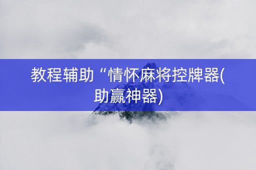 教程辅助“情怀麻将控牌器(助赢神器)