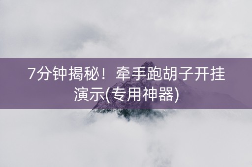 7分钟揭秘！牵手跑胡子开挂演示(专用神器)