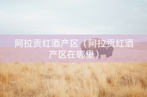 阿拉贡红酒产区（阿拉贡红酒产区在哪里）