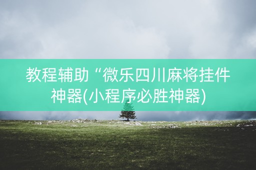 教程辅助“微乐四川麻将挂件神器(小程序必胜神器)
