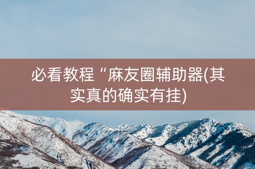 必看教程“麻友圈辅助器(其实真的确实有挂)