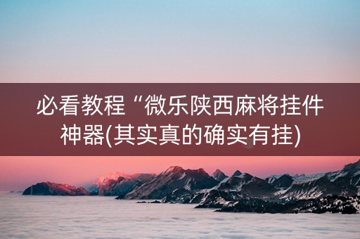 必看教程“微乐陕西麻将挂件神器(其实真的确实有挂)