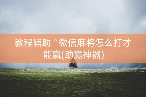 教程辅助“微信麻将怎么打才能赢(助赢神器)