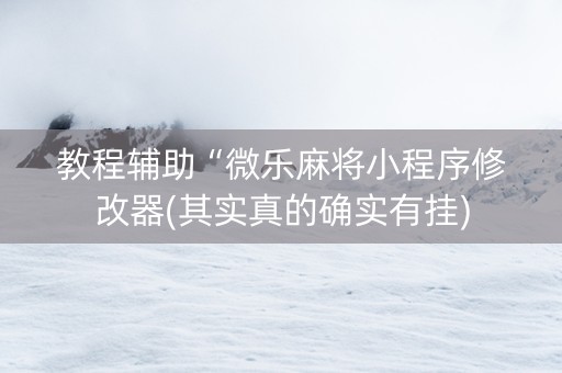 教程辅助“微乐麻将小程序修改器(其实真的确实有挂)