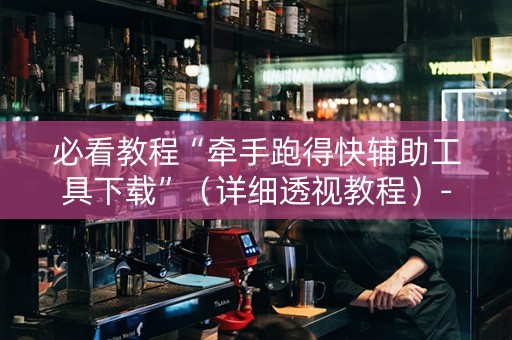 必看教程“牵手跑得快辅助工具下载”（详细透视教程）-哔哩哔哩