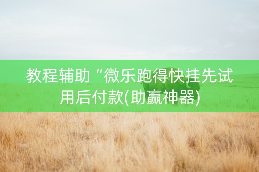 教程辅助“微乐跑得快挂先试用后付款(助赢神器)