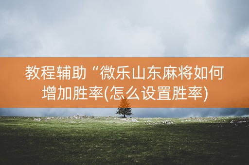 教程辅助“微乐山东麻将如何增加胜率(怎么设置胜率)